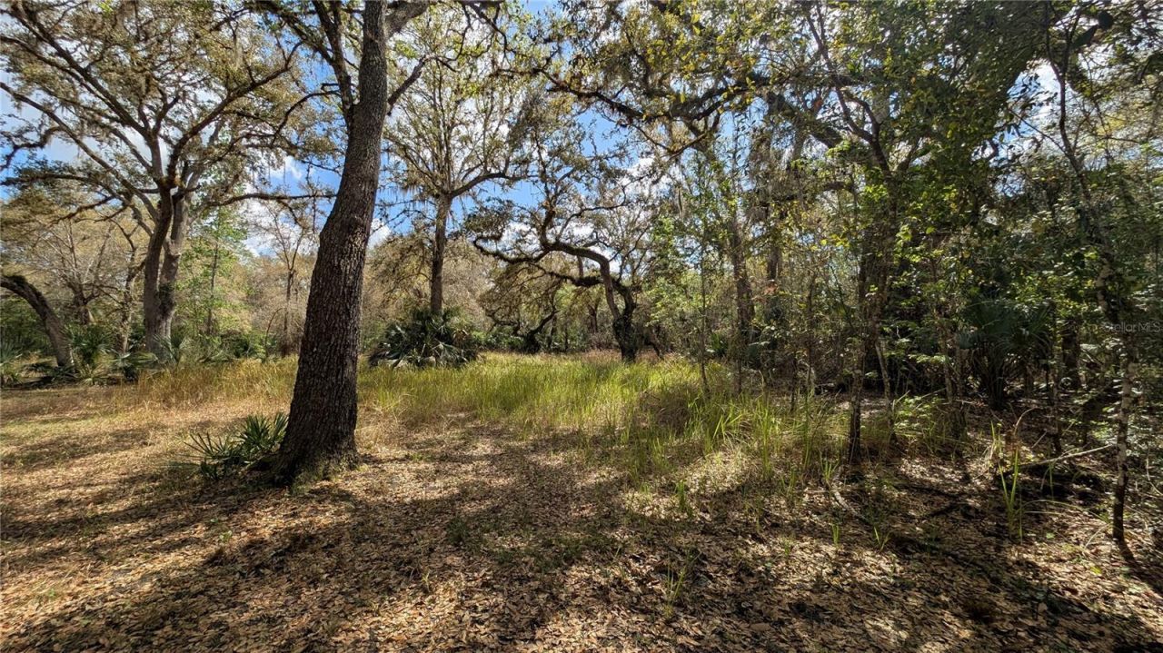Gillette Road , Zolfo Springs, FL 33890 Photo