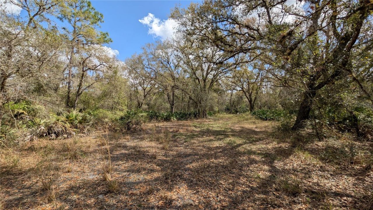 Gillette Road , Zolfo Springs, FL 33890 Photo