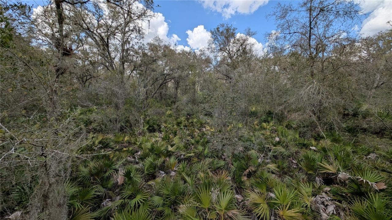 Gillette Road , Zolfo Springs, FL 33890 Photo