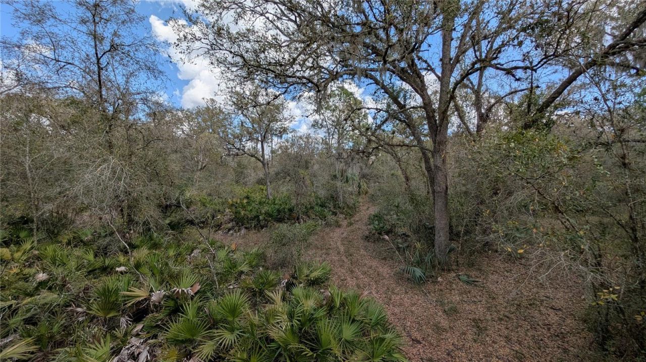 Gillette Road , Zolfo Springs, FL 33890 Photo