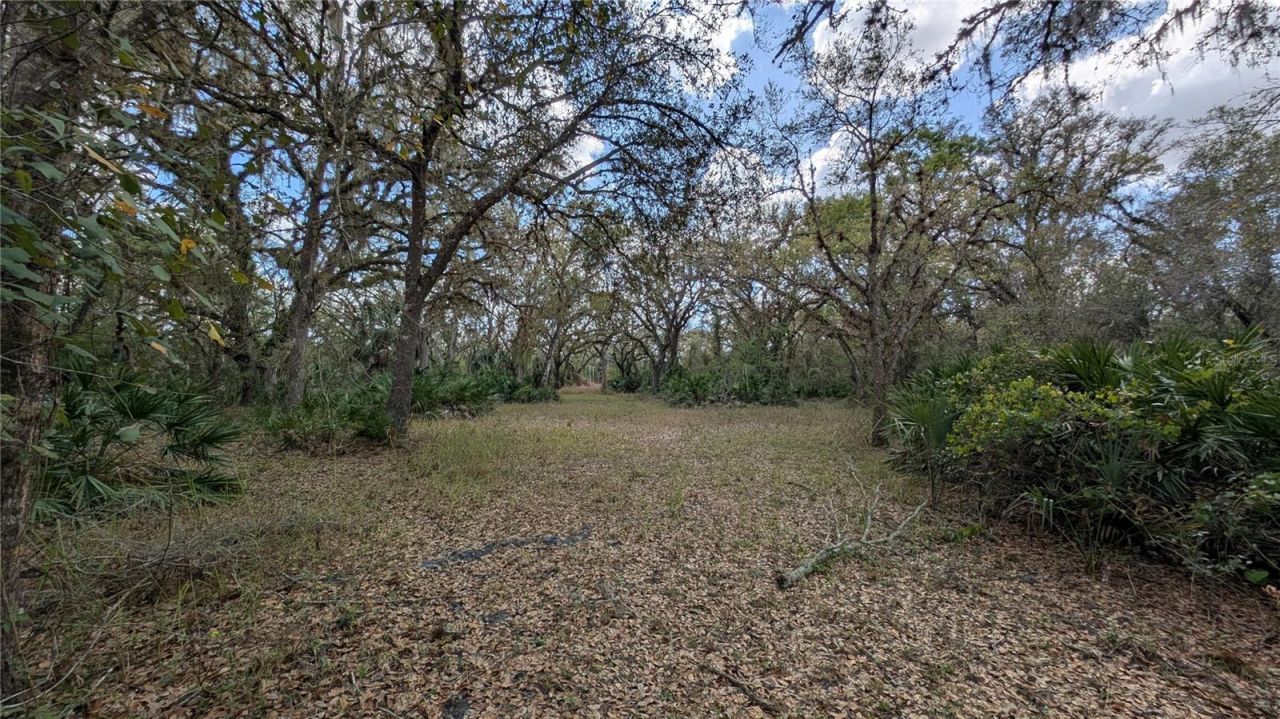 Gillette Road , Zolfo Springs, FL 33890 Photo