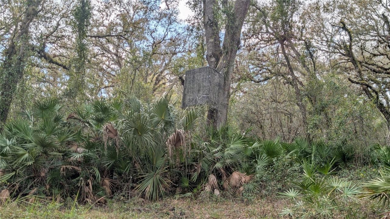 Gillette Road , Zolfo Springs, FL 33890 Photo
