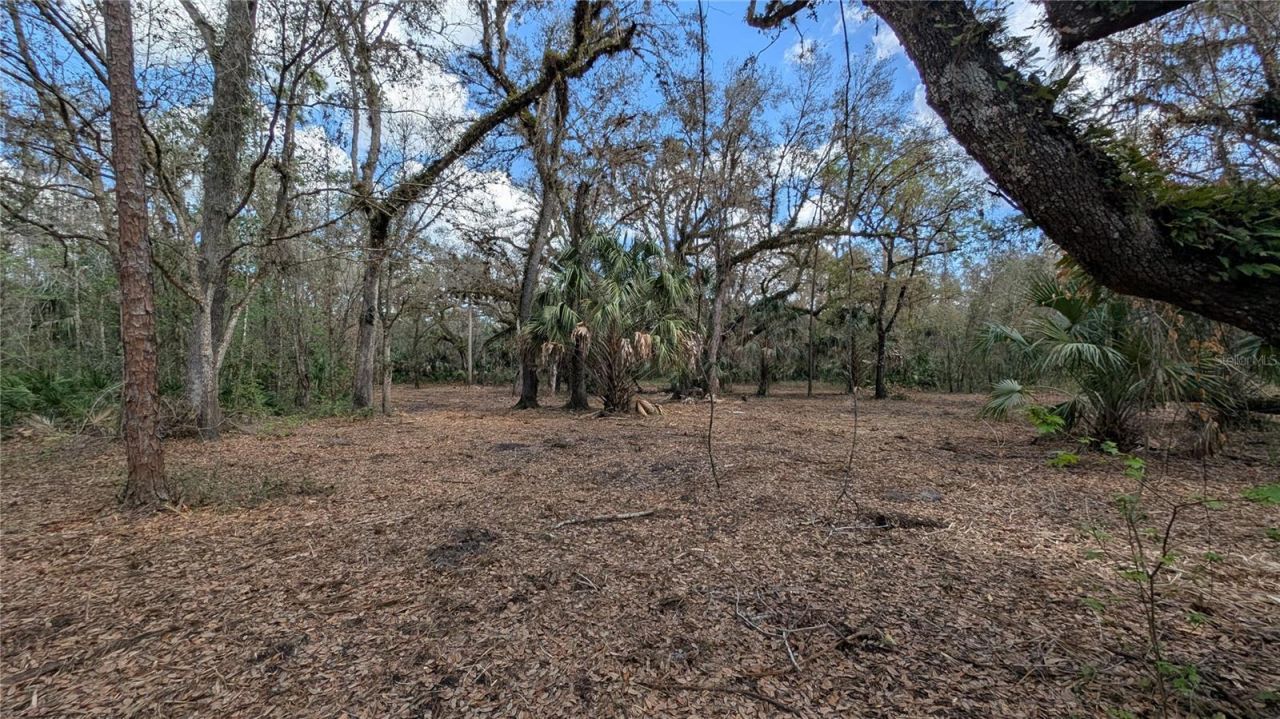 Gillette Road , Zolfo Springs, FL 33890 Photo