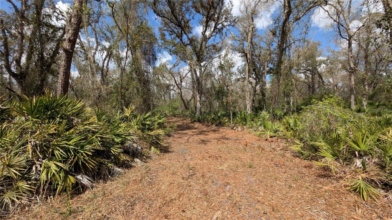 Gillette Road , Zolfo Springs, FL 33890 Photo