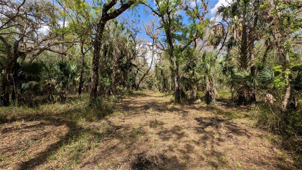 Gillette Road , Zolfo Springs, FL 33890 Photo
