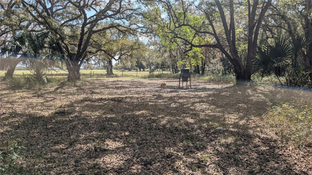 Gillette Road , Zolfo Springs, FL 33890 Photo