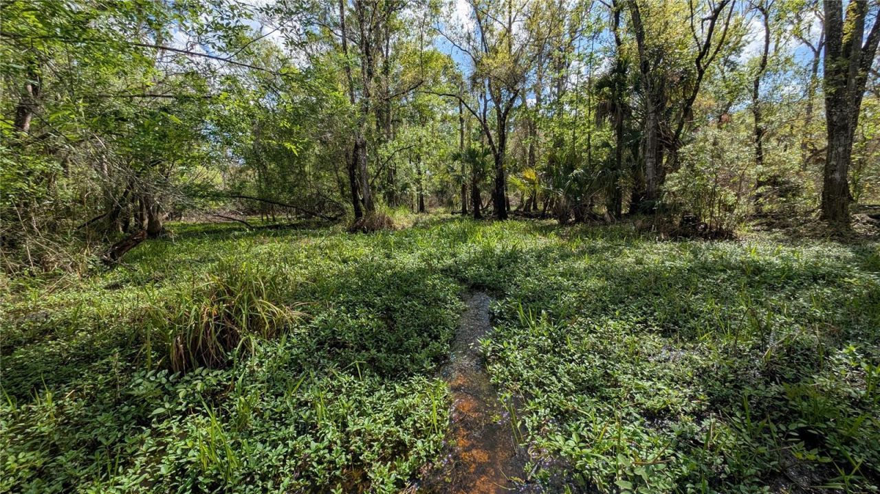 Gillette Road , Zolfo Springs, FL 33890 Photo