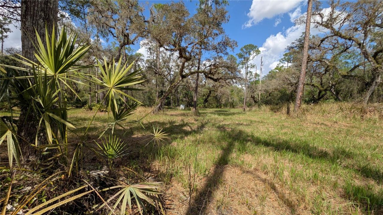 Gillette Road , Zolfo Springs, FL 33890 Photo