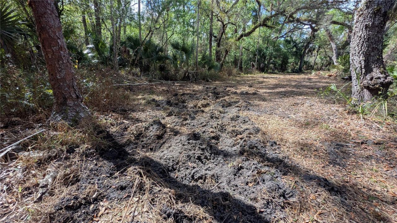 Gillette Road , Zolfo Springs, FL 33890 Photo