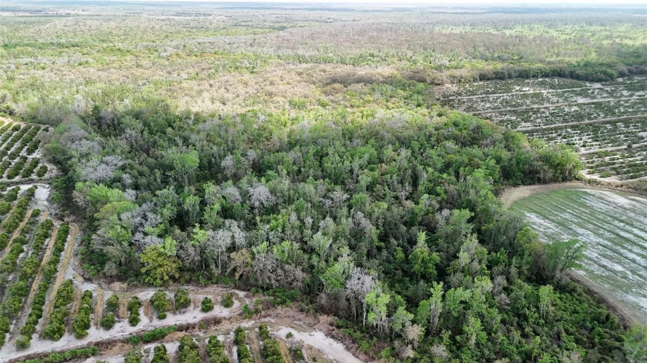 Gillette Road , Zolfo Springs, FL 33890 Photo