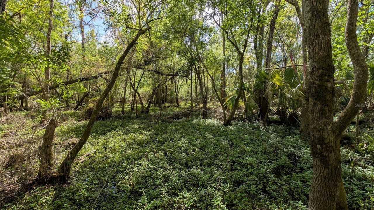 Gillette Road , Zolfo Springs, FL 33890 Photo