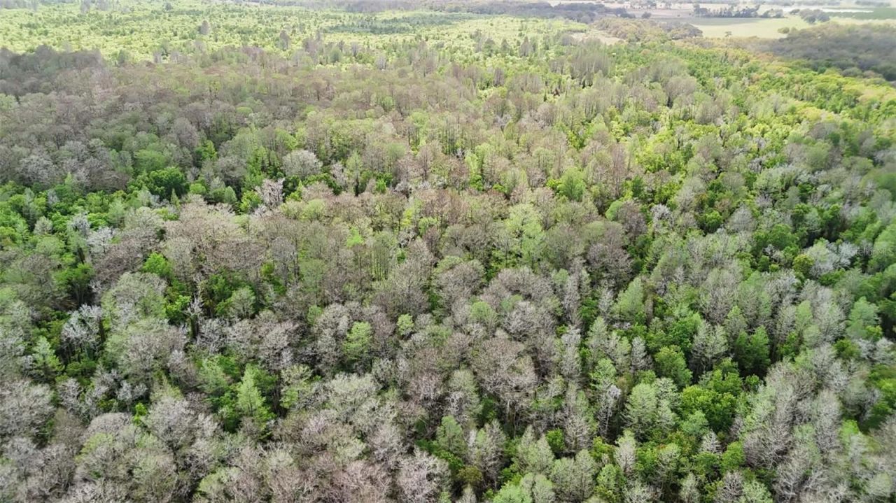 Gillette Road , Zolfo Springs, FL 33890 Photo