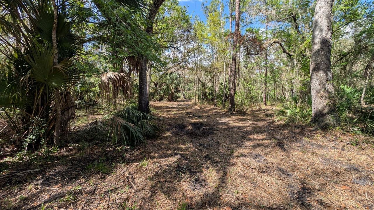 Gillette Road , Zolfo Springs, FL 33890 Photo