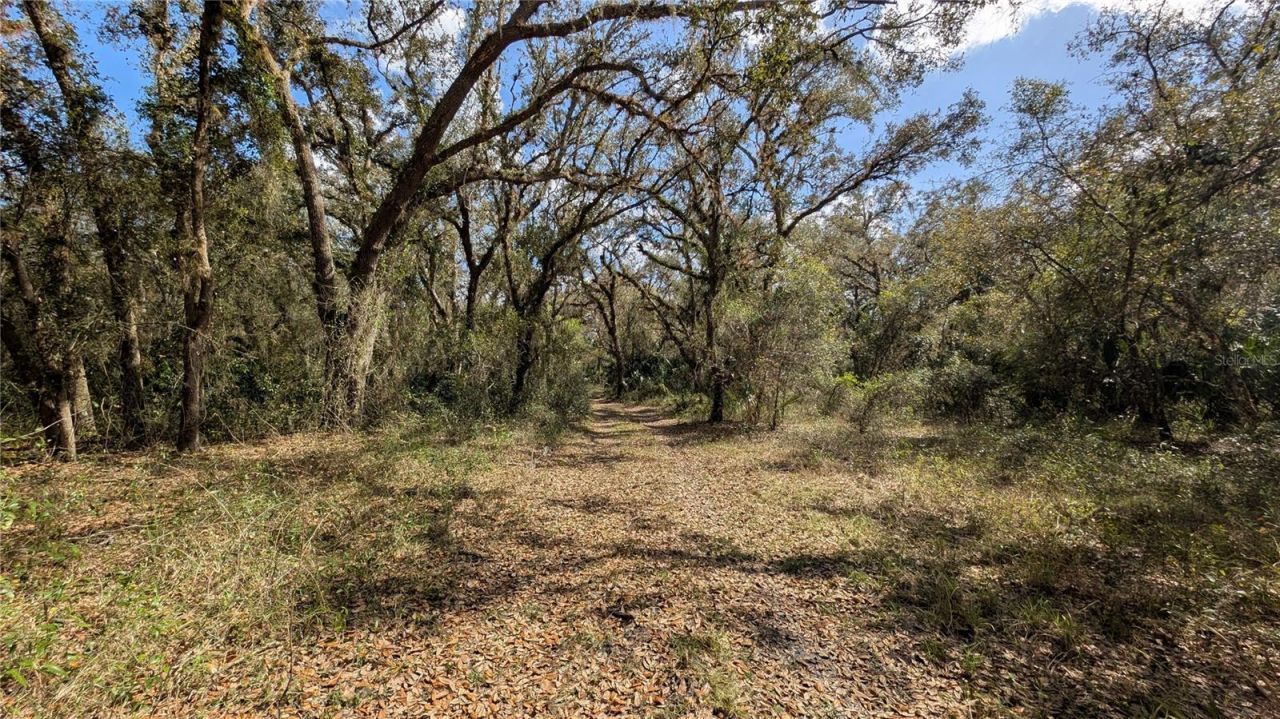 Gillette Road , Zolfo Springs, FL 33890 Photo