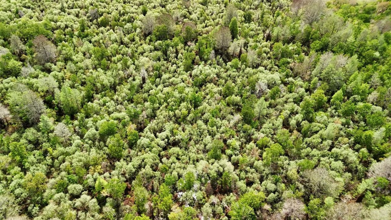 Gillette Road , Zolfo Springs, FL 33890 Photo