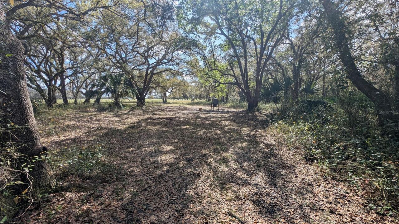 Gillette Road , Zolfo Springs, FL 33890 Photo