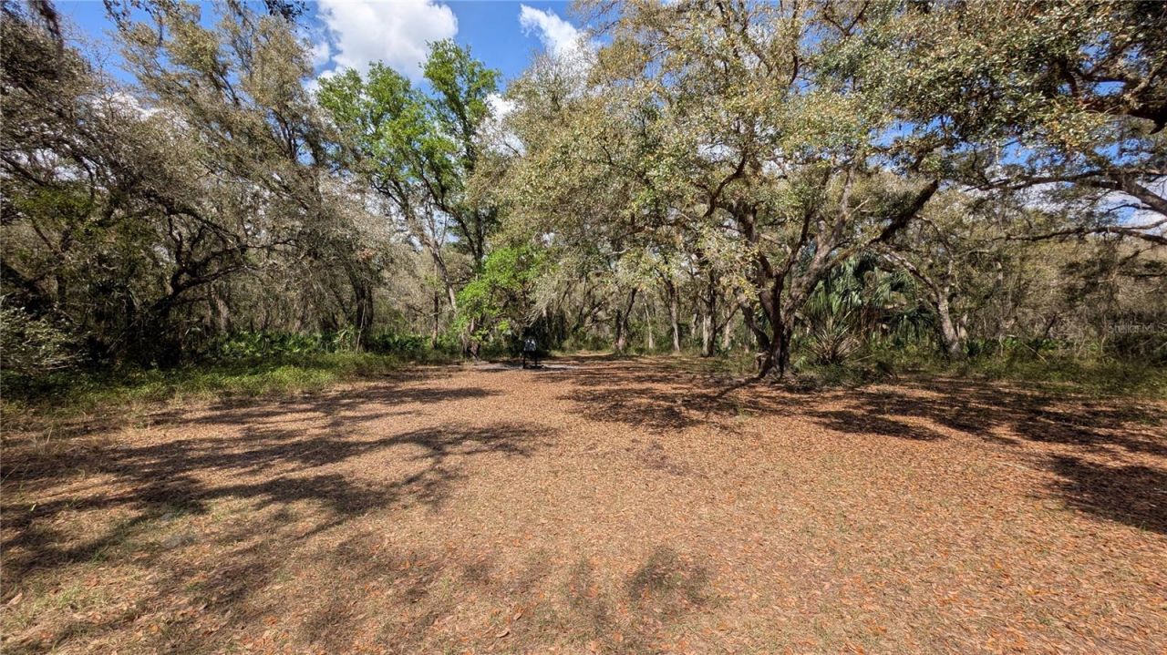 Gillette Road , Zolfo Springs, FL 33890 Photo