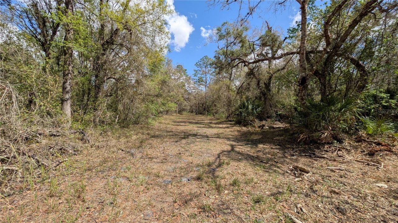 Gillette Road , Zolfo Springs, FL 33890 Photo
