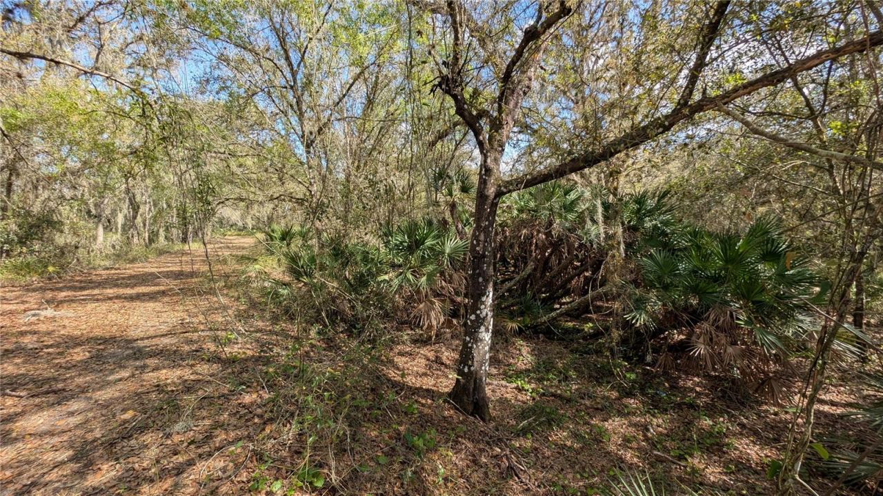 Gillette Road , Zolfo Springs, FL 33890 Photo