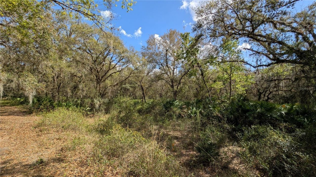 Gillette Road , Zolfo Springs, FL 33890 Photo