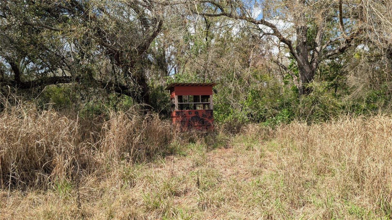 Gillette Road , Zolfo Springs, FL 33890 Photo