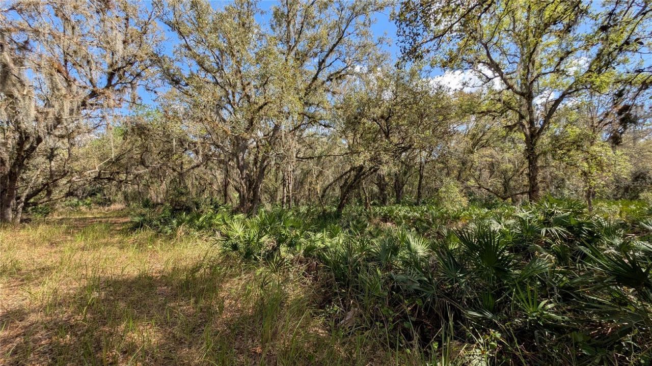 Gillette Road , Zolfo Springs, FL 33890 Photo