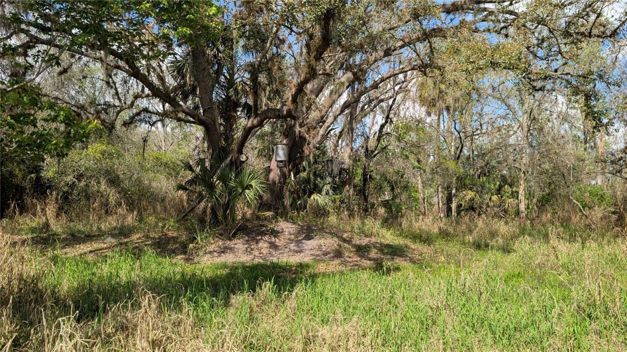 Gillette Road , Zolfo Springs, FL 33890 Photo