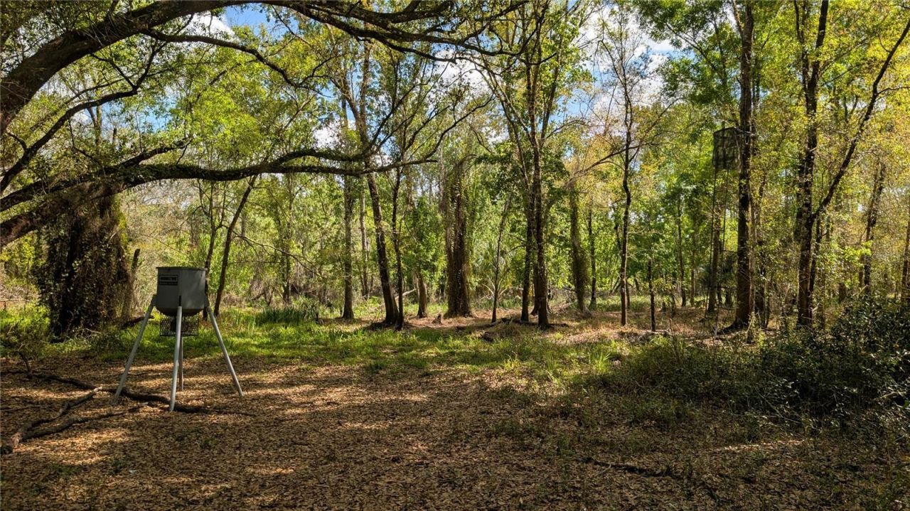 Gillette Road , Zolfo Springs, FL 33890 Photo