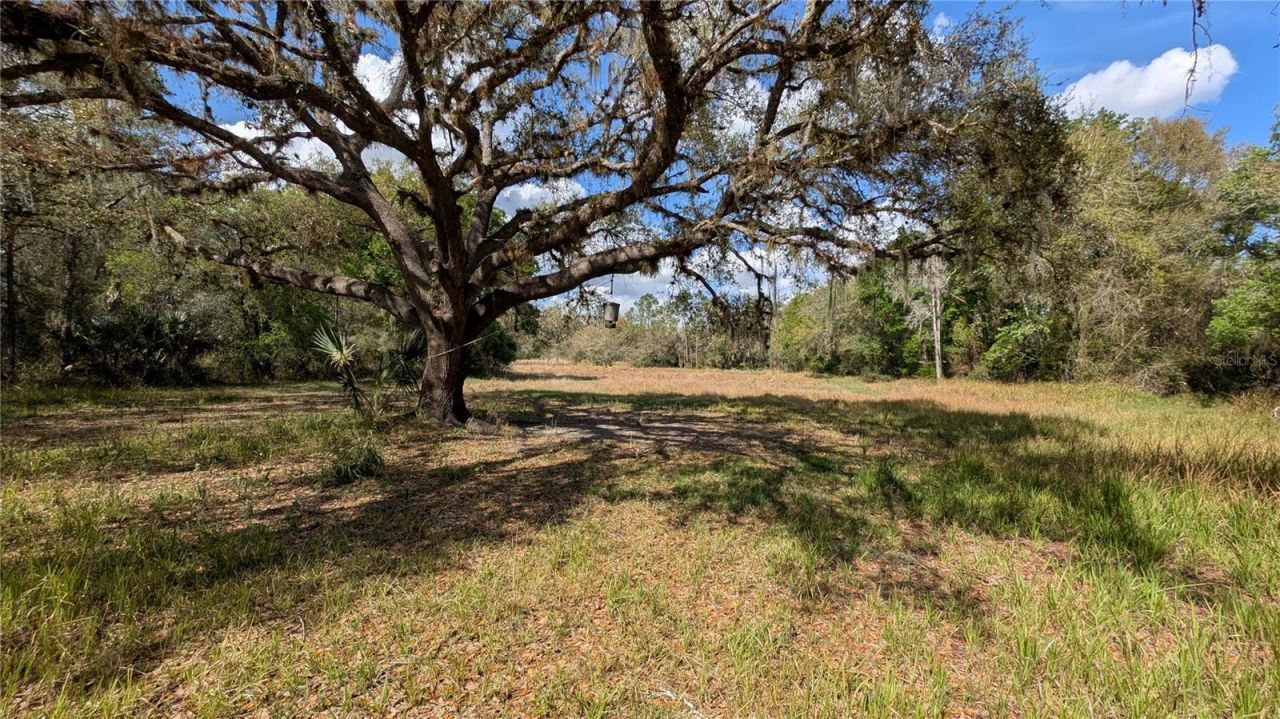 Gillette Road , Zolfo Springs, FL 33890 Photo
