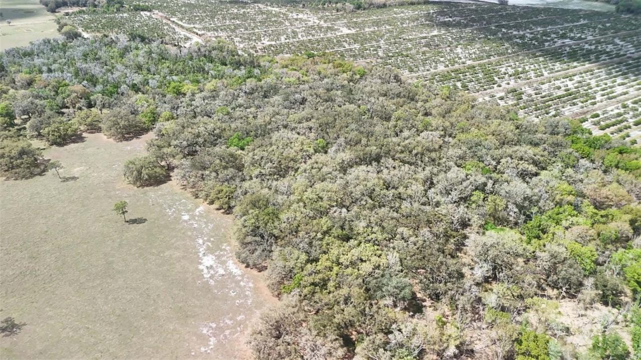 Gillette Road , Zolfo Springs, FL 33890 Photo