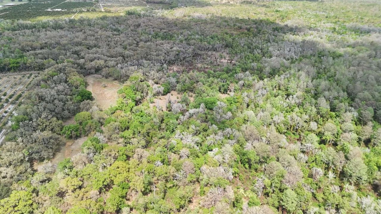 Gillette Road , Zolfo Springs, FL 33890 Photo