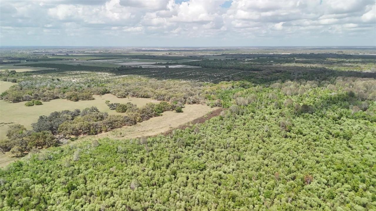 Gillette Road , Zolfo Springs, FL 33890 Photo