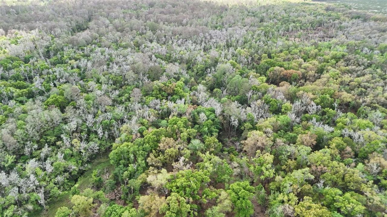 Gillette Road , Zolfo Springs, FL 33890 Photo