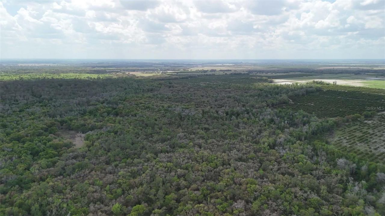 Gillette Road , Zolfo Springs, FL 33890 Photo