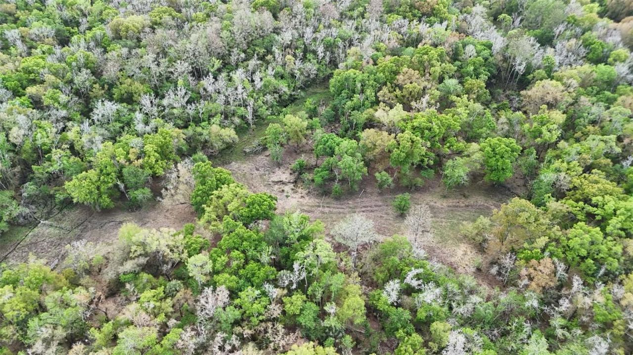 Gillette Road , Zolfo Springs, FL 33890 Photo