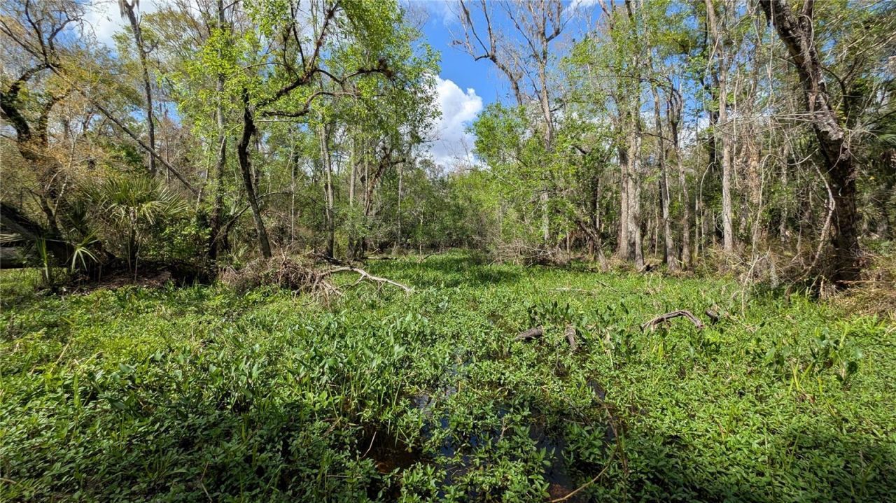 Gillette Road , Zolfo Springs, FL 33890 Photo