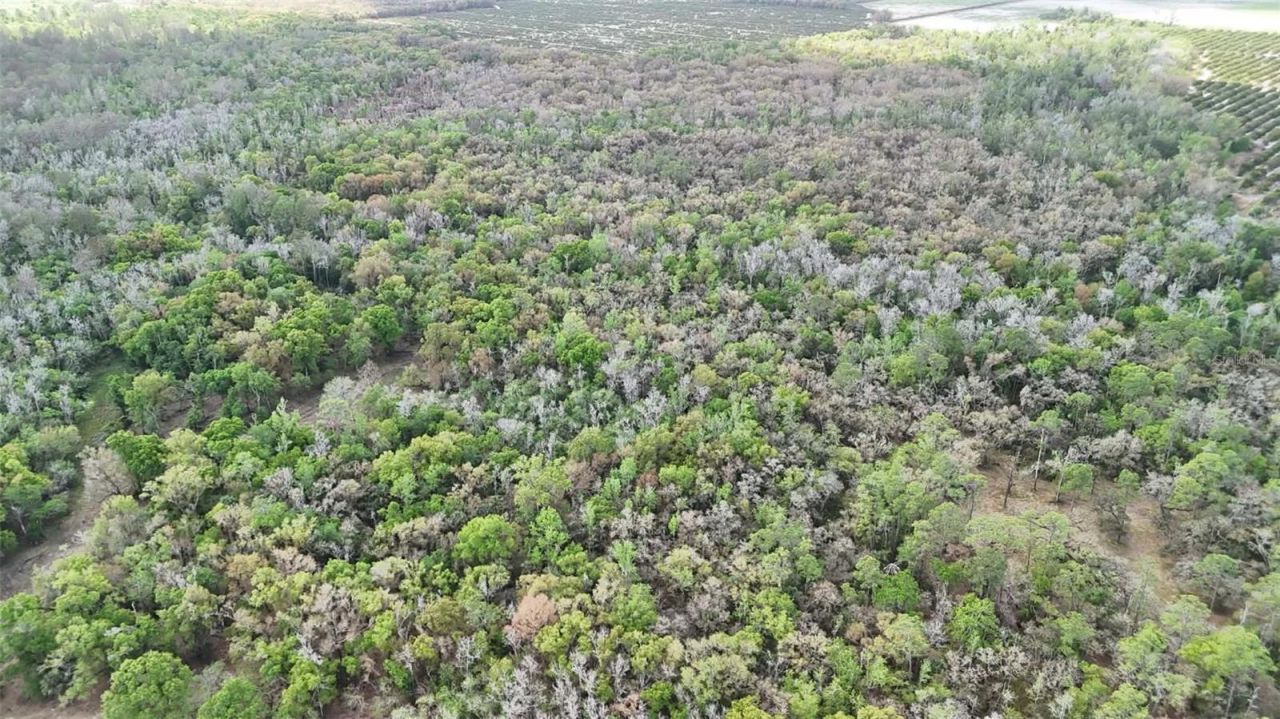 Gillette Road , Zolfo Springs, FL 33890 Photo