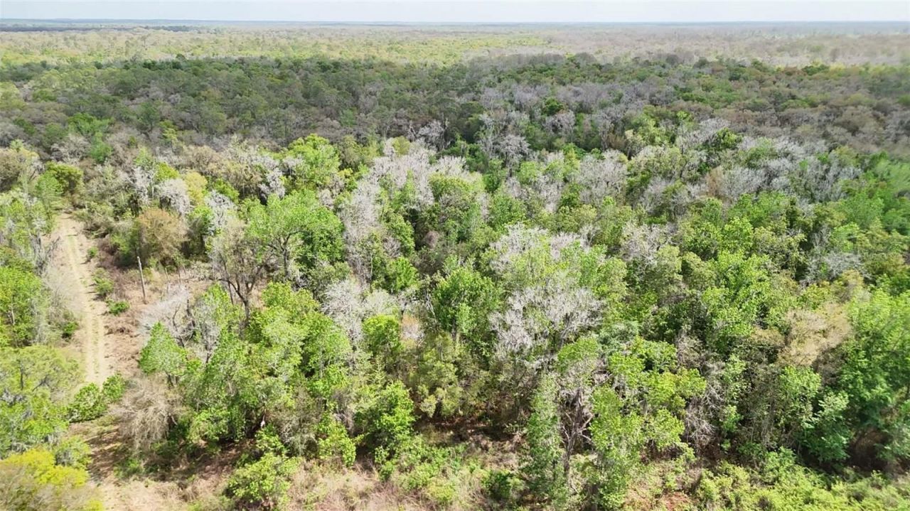 Gillette Road , Zolfo Springs, FL 33890 Photo