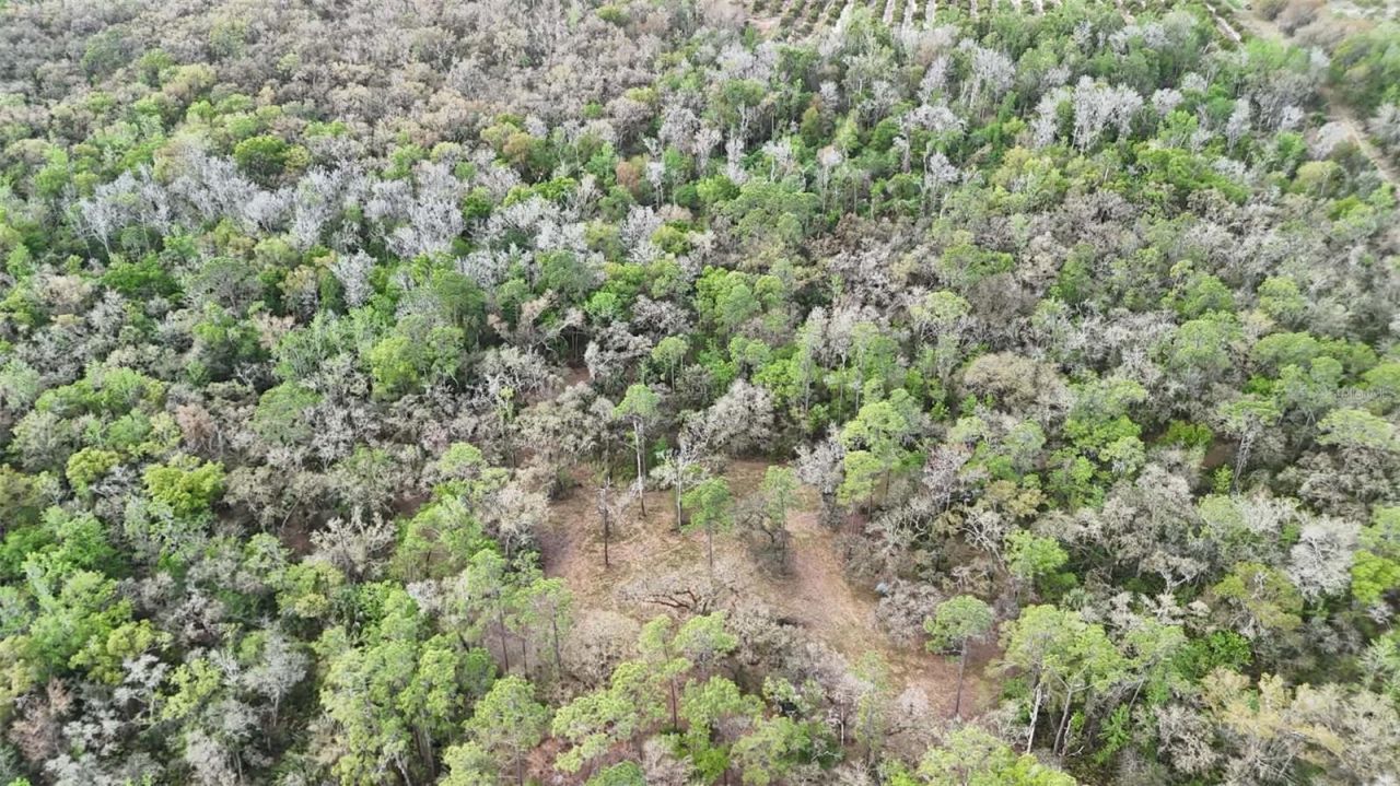 Gillette Road , Zolfo Springs, FL 33890 Photo