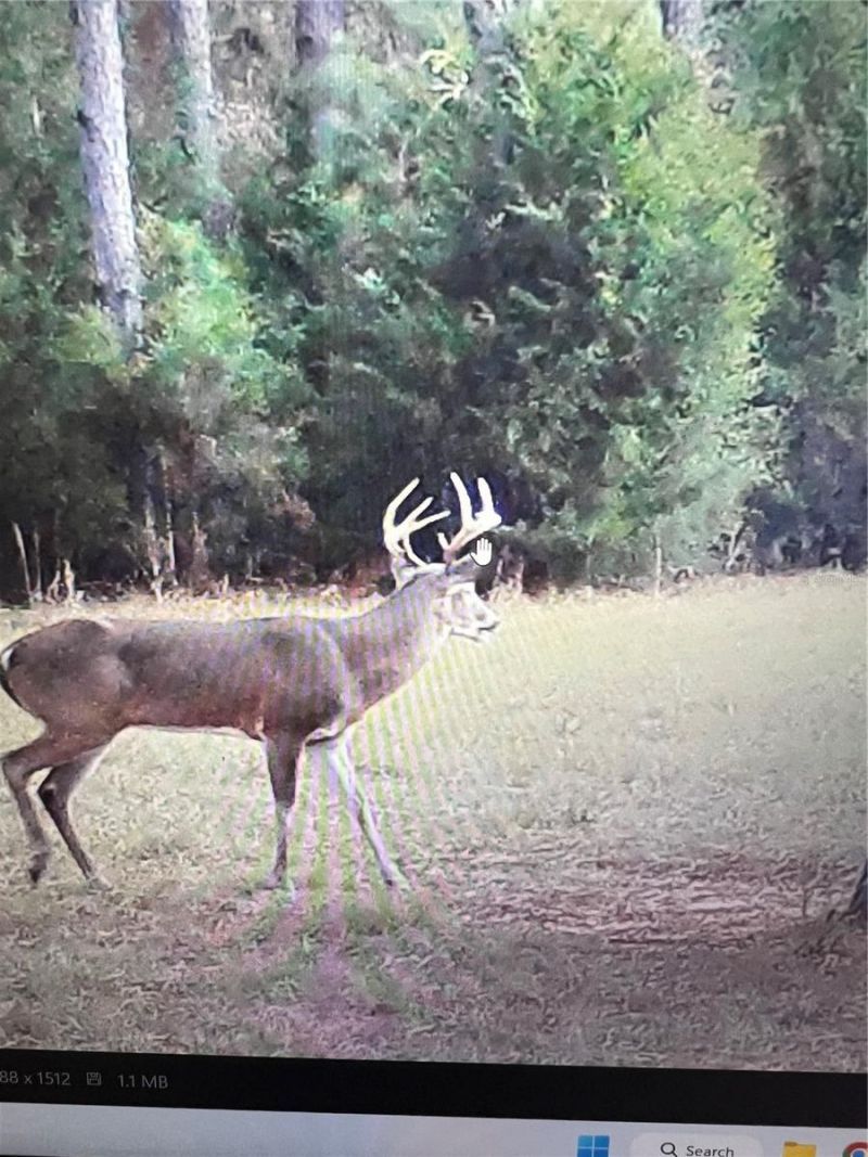 Gillette Road , Zolfo Springs, FL 33890 Photo