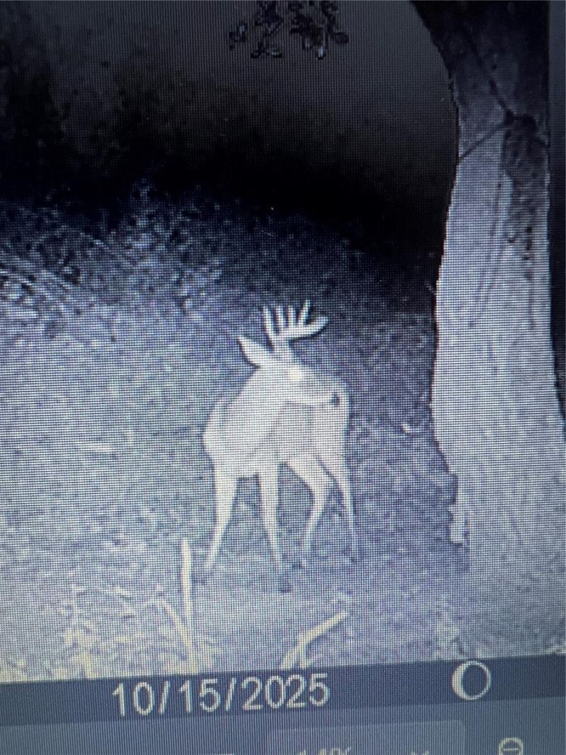 Gillette Road , Zolfo Springs, FL 33890 Photo