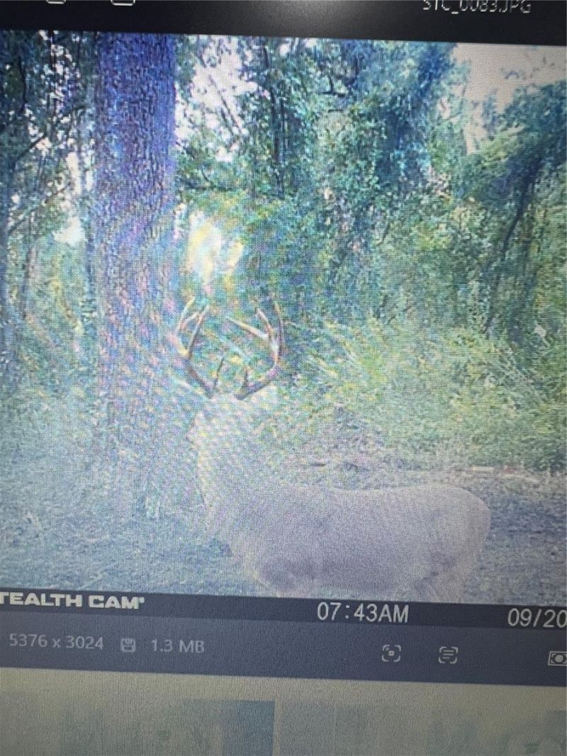 Gillette Road , Zolfo Springs, FL 33890 Photo