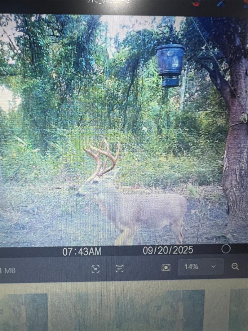 Gillette Road , Zolfo Springs, FL 33890 Photo