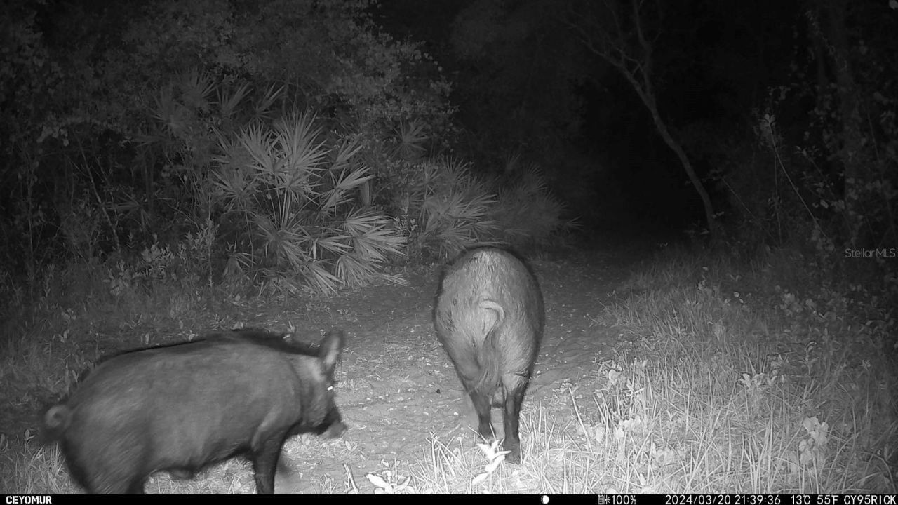 Gillette Road , Zolfo Springs, FL 33890 Photo