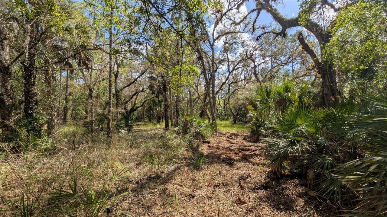 Gillette Road , Zolfo Springs, FL 33890 Photo