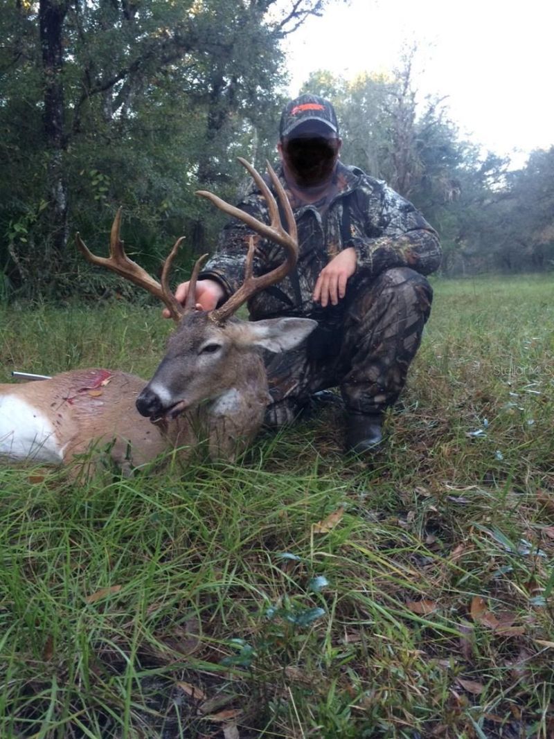 Gillette Road , Zolfo Springs, FL 33890 Photo