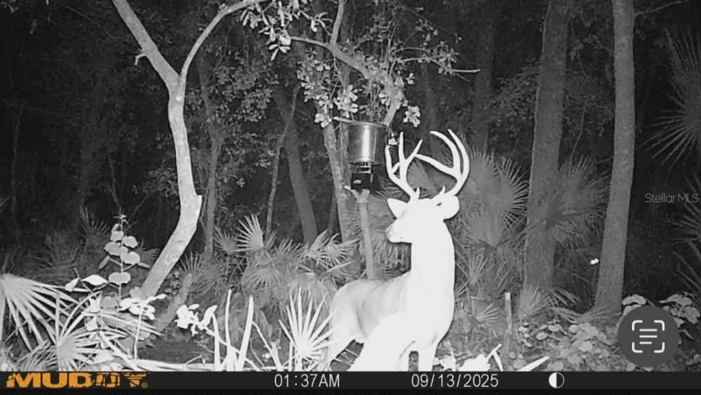 Gillette Road , Zolfo Springs, FL 33890 Photo