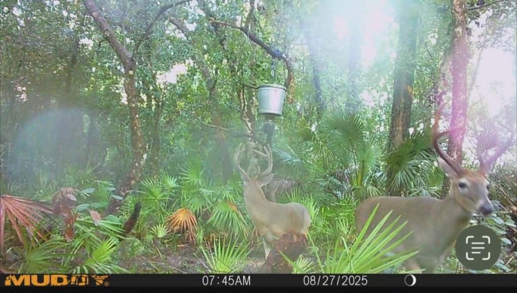 Gillette Road , Zolfo Springs, FL 33890 Photo