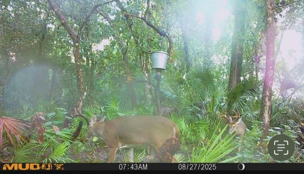 Gillette Road , Zolfo Springs, FL 33890 Photo