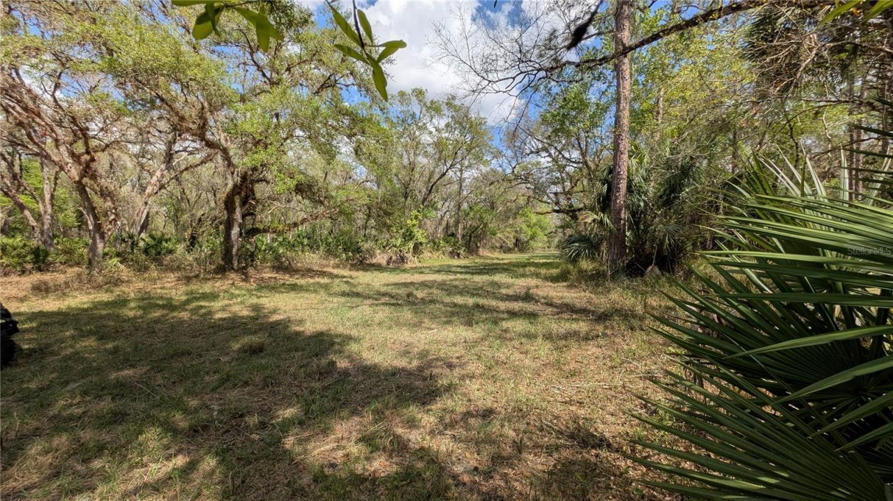 Gillette Road , Zolfo Springs, FL 33890 Photo